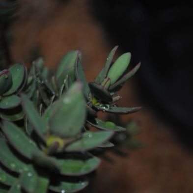 tsaPhotoClubwk7 (4)